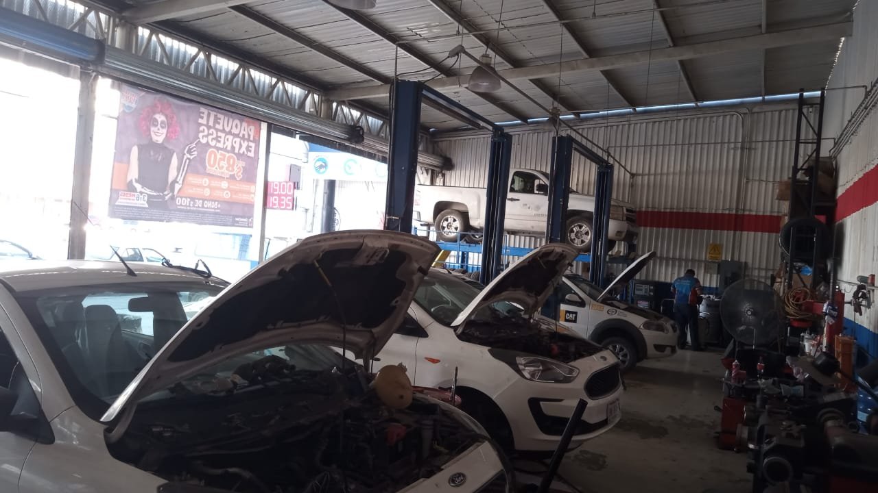 Imagen de WhatsApp 2024-10-25 a las 15.50.49_1f778d48