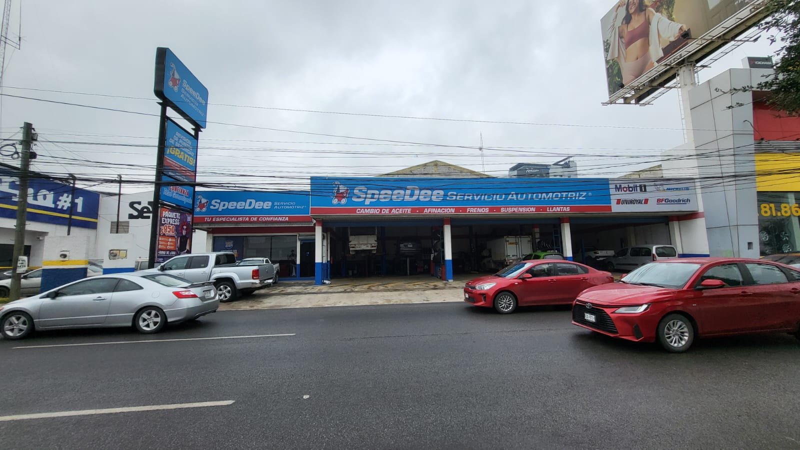 Imagen de WhatsApp 2024-11-04 a las 11.34.29_415259a6